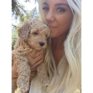 Meet your Posher, Katie